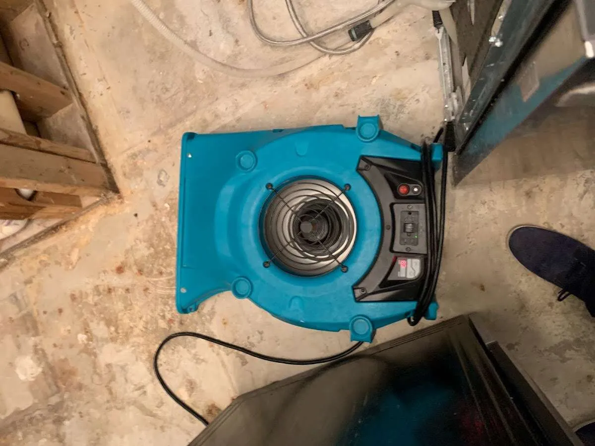 Air mover drying equipment for Mold Remediation & Removal in Redmond